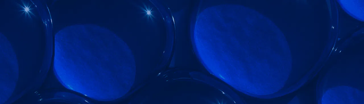 Ignite Your Cellular Energy